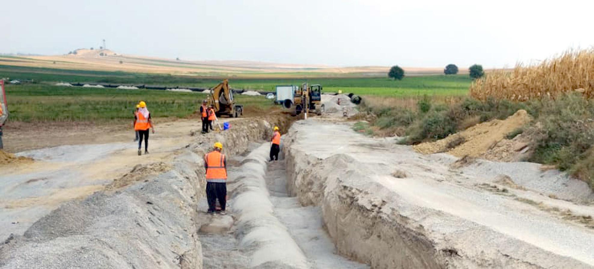 proje_217733
